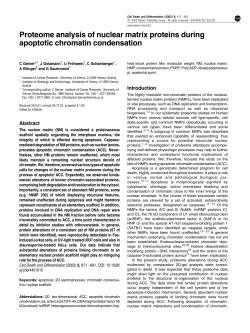 Proteome analysis of nuclear matrix proteins during