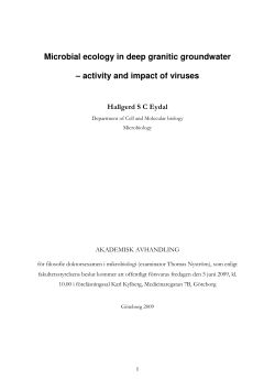 Microbial ecology in deep granitic groundwater