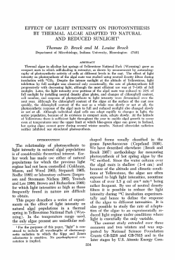 Effect of light intensity on photosynthesis