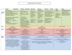 Final Year at a Glance for Purple 8
