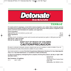 31111 Detonate Data Pak
