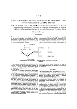 some experiments on the microscopical demonstration of