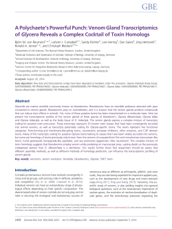 A Polychaete`s Powerful Punch: Venom Gland