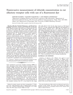 Noninvasive measurement of chloride concentration in rat olfactory