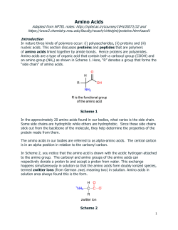 Amino Acids - WordPress.com