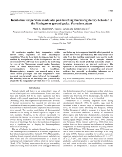 Incubation temperature and thermoregulatory behavior in P. pictus