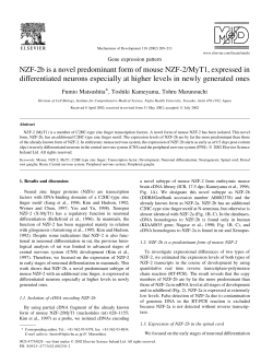 NZF-2b is a novel predominant form of mouse