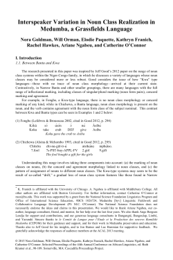 Interspeaker Variation in Noun Class Realization in Medumba, a