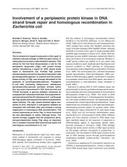 Involvement of a periplasmic protein kinase in DNA strand break