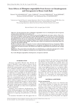 Toxic Effects of Elaeagnus angustifolia Fruit Extract on