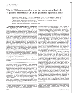 The F508 mutation shortens the biochemical half-life of - AJP-Cell