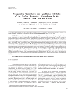 Comparative Quantitative and Qualitative Attributes of the