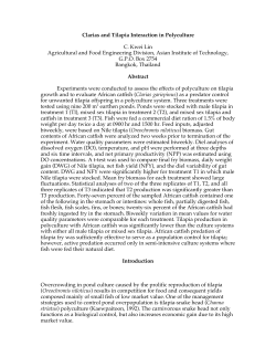 Clarias and Tilapia Interaction in Polyculture