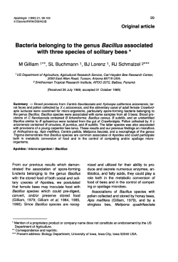 Bacteria belonging to the genus Bacillus associated with three