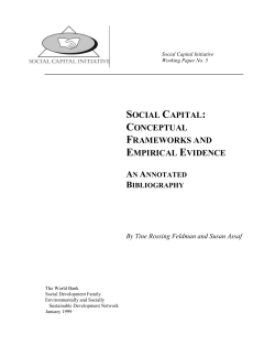 social capital: conceptual frameworks and empirical evidence