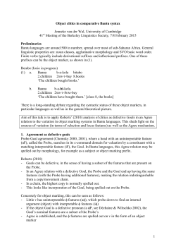 Object clitics in comparative Bantu syntax