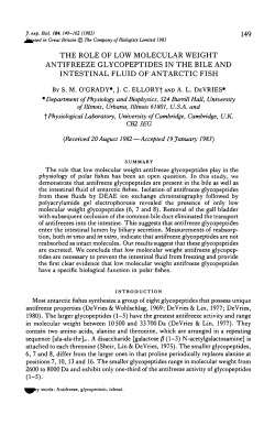 the role of low molecular weight antifreeze glycopeptides in the bile