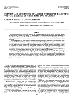 pattern and specificity of axonal outgrowth following varying degrees