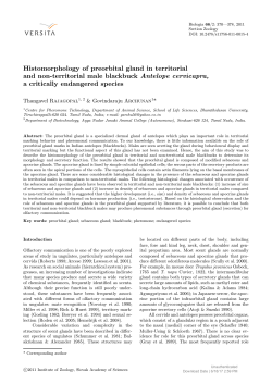 Histomorphology of preorbital gland in territorial and