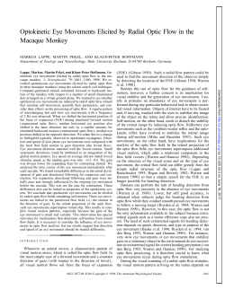 Optokinetic Eye Movements Elicited by Radial Optic Flow in the