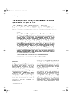 Dietary separation of sympatric carnivores identified by molecular