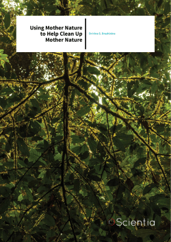 Irina Druzhinina - scientia.global