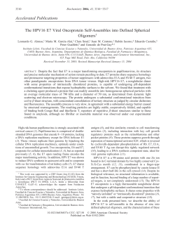 Accelerated Publications The HPV16 E7 Viral Oncoprotein Self