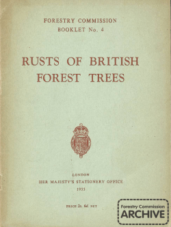 Forestry Commission Booklet: Rusts of British forest trees