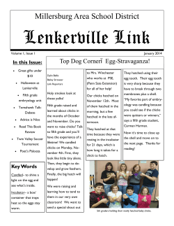 Newspaper Issue 1- January 2014.pub