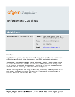 Enforcement Guidelines