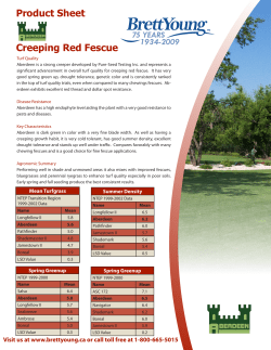 Product Sheet Creeping Red Fescue