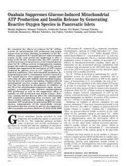 Ouabain Suppresses Glucose-Induced Mitochondrial ATP