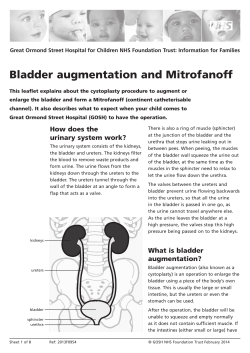 our leaflet: Bladder augmentation and Mitrofanoff