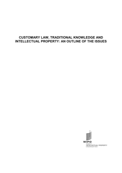 customary law, traditional knowledge and intellectual property