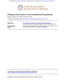 Phylogeny and Function of the Invertebrate p53 Superfamily
