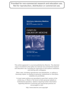 Stacy NI, 2011 - Sea Turtle Guardian