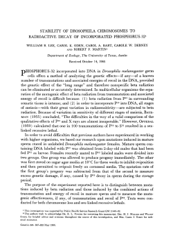 STABILITY OF DROSOPHILA CHROMOSOMES TO RADIOACTIVE