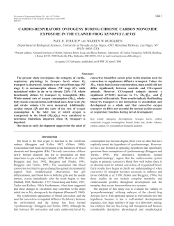 cardio-respiratory ontogeny during chronic carbon monoxide