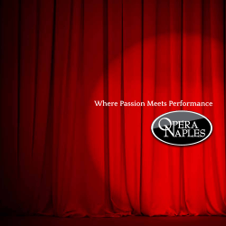 Opera Brand Brochure