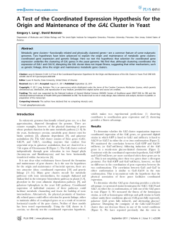 A Test of the Coordinated Expression Hypothesis for the Origin and