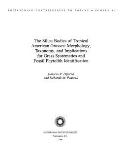 The Silica Bodies of Tropical American Grasses: Morphology