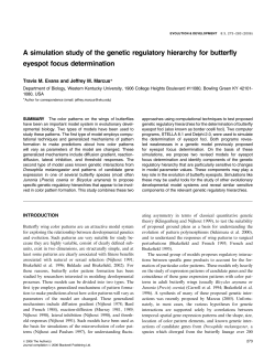 A simulation study of the genetic regulatory