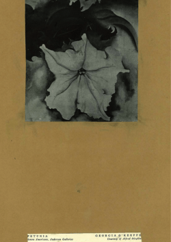 - Journal of Canadian Art History