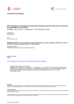 GTP hydrolysis of cell division protein FtsZ: Evidence that the