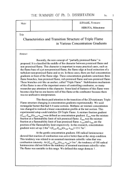 Characteristics and Transition Structure of Triple Flame in Various