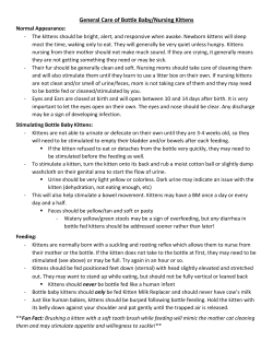 General Care of Bottle Baby/Nursing Kittens