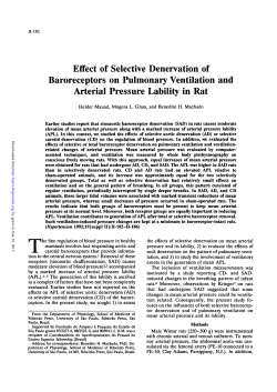 Effect of Selective Denervation of Baroreceptors on Pulmonary