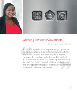 Growing low cost PGM miners