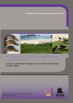 (2008) Lord Howe Island Ducks