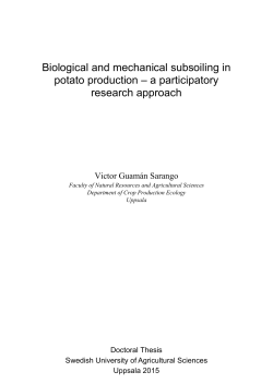 Biological and mechanical subsoiling in potato production &ndash; a